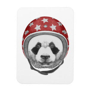 Íman Panda do temerário