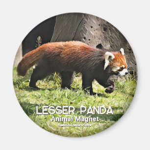 Íman Panda-vermelho
