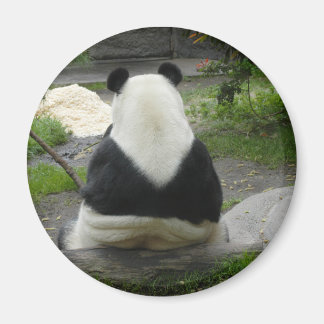 Íman PandaSD002