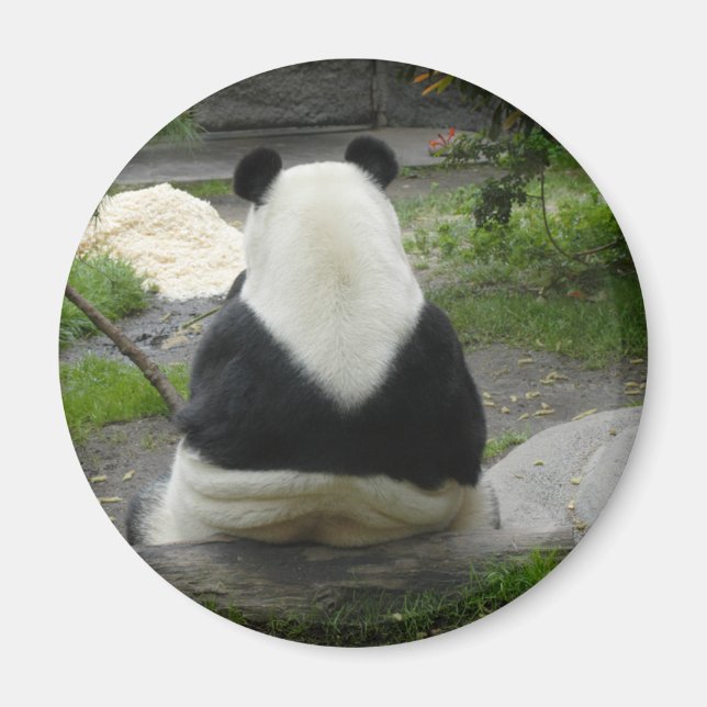 Íman PandaSD002 (Frente)