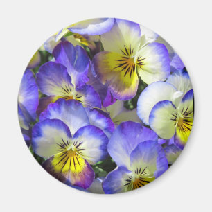 Íman Pansies do canto - ímã