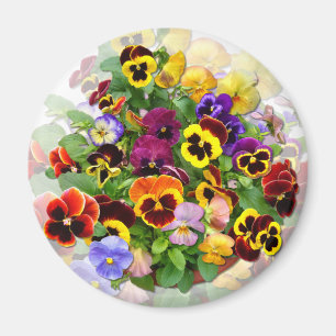 Íman PANSY BEAUTY ~ Magnet