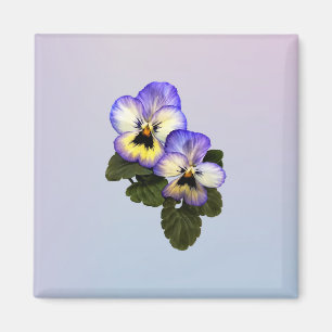 Íman Pansy Duo