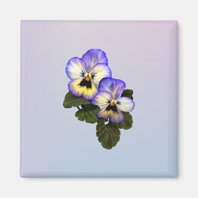Íman Pansy Duo (Frente)