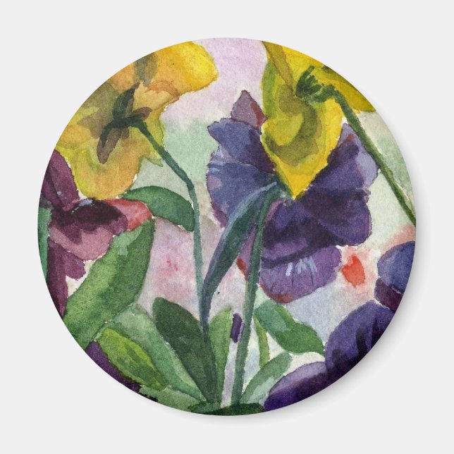 Íman Pansy Field (Frente)
