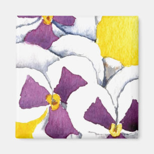 Íman "Pansy nº 4"