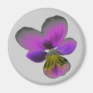 Íman Pansy Wild Dark Purple Magnet