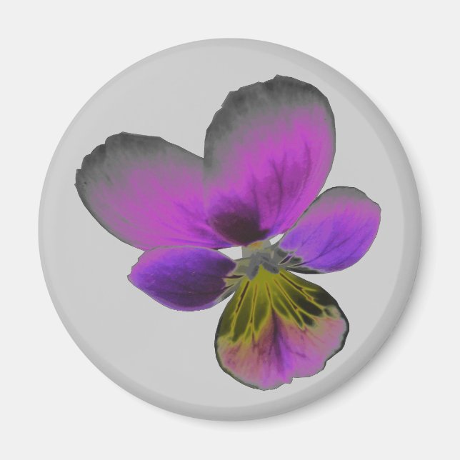 Íman Pansy Wild Dark Purple Magnet (Frente)