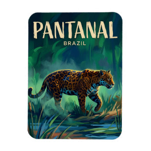 Íman Pantanal Brasil