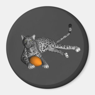 Íman Pantera de futebol