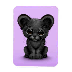 Íman Pantera preta Cub do bebê bonito no roxo