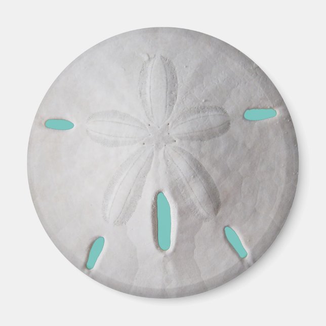 Íman Pão-de-areia, praia de verão, turquesa branca (Frente)