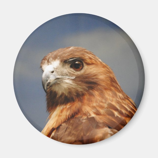 Íman Pão vermelho Hawk (Frente)