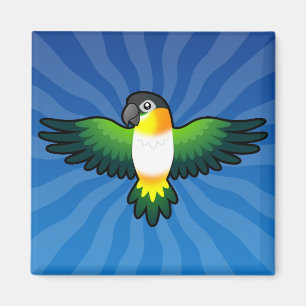 Íman Papagaio Cartoon Caique / Agapornis / Pionus / Pap