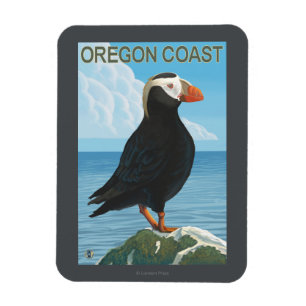 Íman Papagaio-do-mar adornado costa de Oregon
