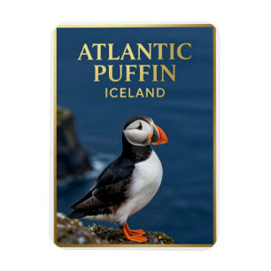Íman 🐧 Papagaio-do-mar Atlântico Ave Costeira da Islân