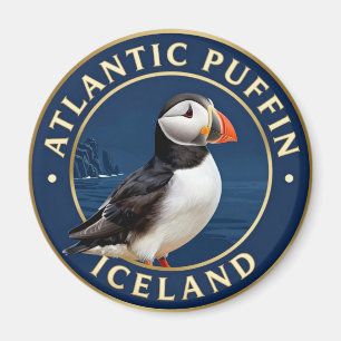 Íman 🐧 Papagaio-do-mar Atlântico Vida Selvagem Islândi