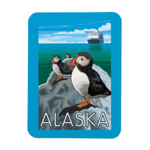 Íman Papagaio-do-mar que olham um navio de cruzeiros