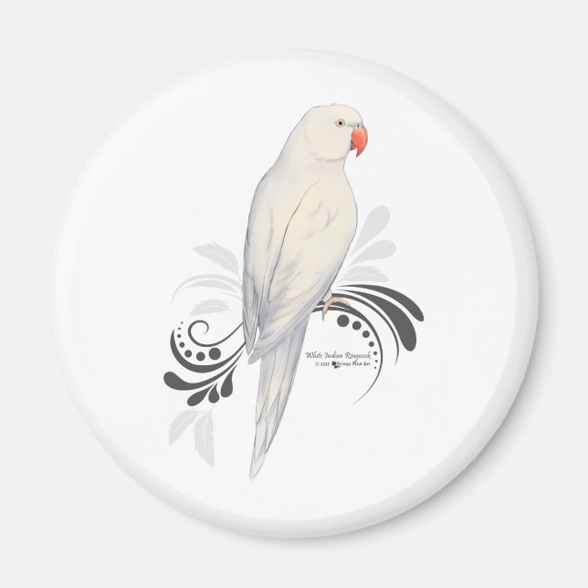 Íman Papagaio-do-pescoço-branco (Frente)