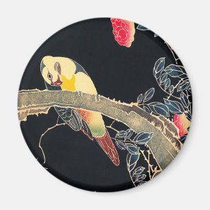 Íman Papagaio no Ramal de um Rosa Flor Bush