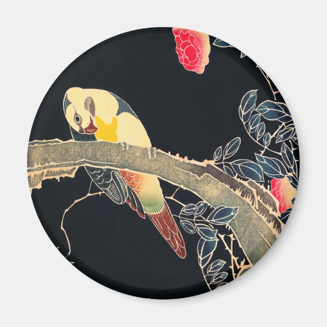 Íman Papagaio no Ramal de um Rosa Flor Bush (Frente)