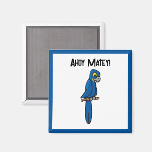 Íman Papagaio Pirata Desenho Animado Ahoy Matey, Papaga