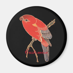 Íman Papagaio vermelho tropical Thunder_Cove