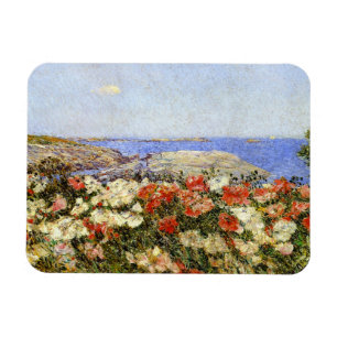 Íman Papagaios selvagens nas ilhas dos calçados