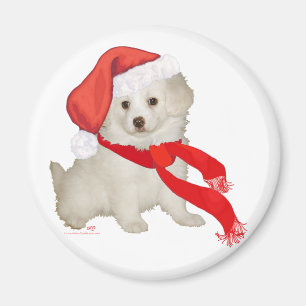 Íman Papai noel Auxiliar Puppy Poodle / Bichon Mix