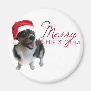 Íman Papai noel do Corgi do Feliz Natal