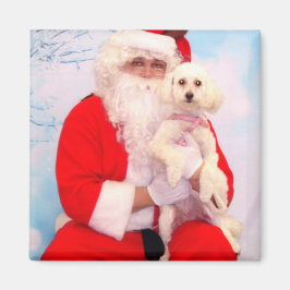 Íman Papais noeis adoram cães