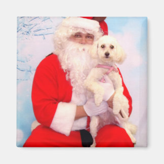Íman Papais noeis adoram cães