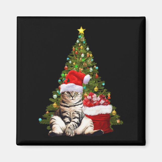 Íman Papais noeis Cat (Frente)