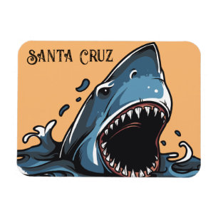 Íman Papais noeis Cruz, Magneta da Califórnia