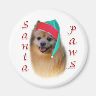Íman Papais noeis da Pomerânia - Magnet