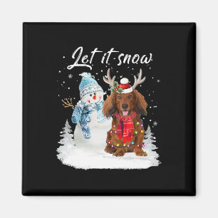 Íman Papais noeis de Dachshund de Cabelo Vermelho Cão N