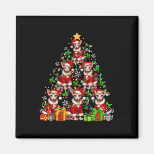 Íman Papais noeis De Grupo Sphynx Cats Como Árvore Xmas