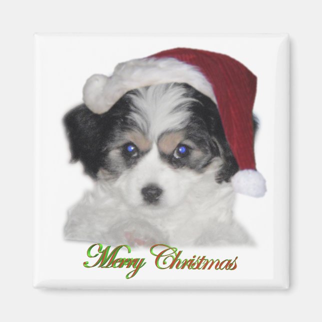 Íman Papais noeis de Jersey Magnet de Natal (Frente)