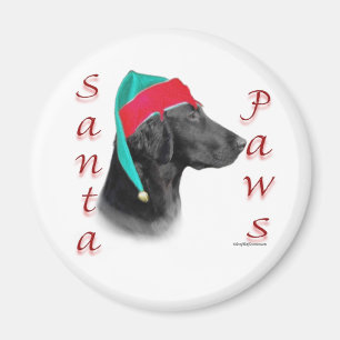 Íman Papais noeis de varejo revestidos plano