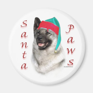 Íman Papais noeis Elkhound Paws