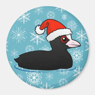 Íman Papais noeis Eurasian Coot