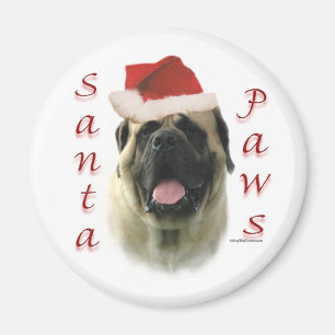 Íman Papais noeis Mastiff
