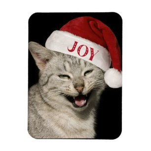 Íman Papais noeis Muito Engraçados Gato Ria Foto Natal