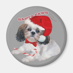 Íman Papais noeis Shih Tzu presentes de patas