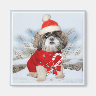 Íman Papais noeis Shih Tzu presentes de patas