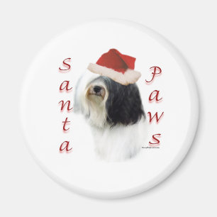 Íman Papais noeis tibetanos Terrier