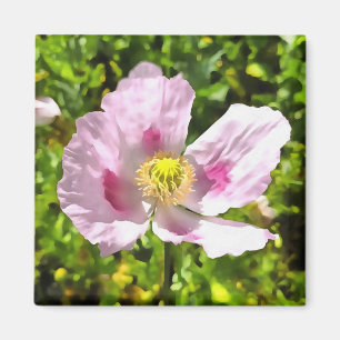 Íman Papaver Somniferum - Pink Poppy Art