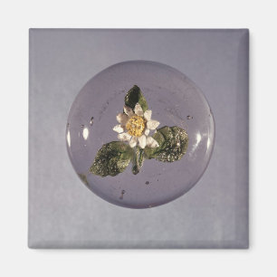 Íman Paperweight, oficina de Pantin, c.1850