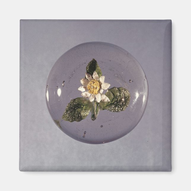 Íman Paperweight, Workshop Pantin, c.1850 (Frente)