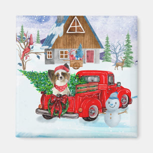 Íman Papillon Dog Em Neve De Caminhão No Parto De Natal